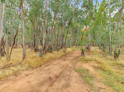13435 Bennett Rd, Herald, CA 95638 Photo