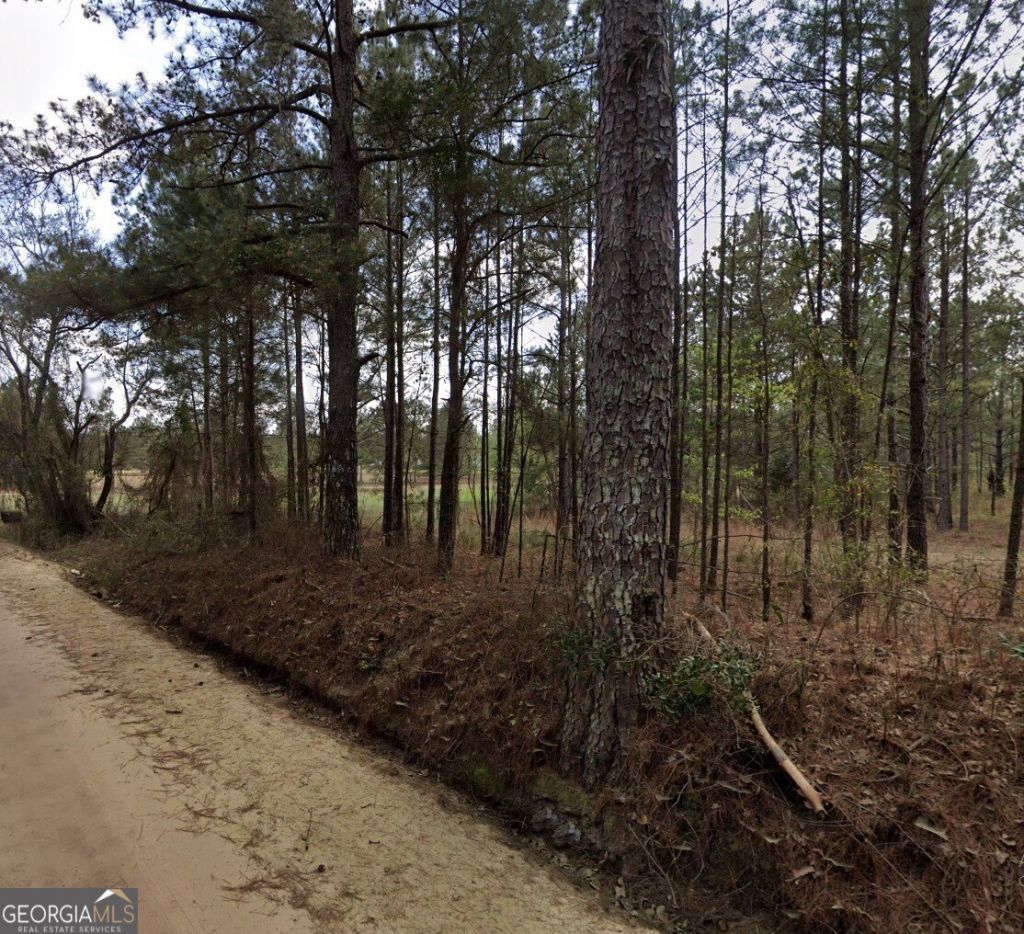 0 Nobles Road, Chester, GA 31012 Main Photo