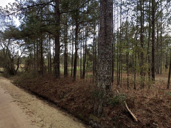 0 Nobles Road, Chester, GA 31012