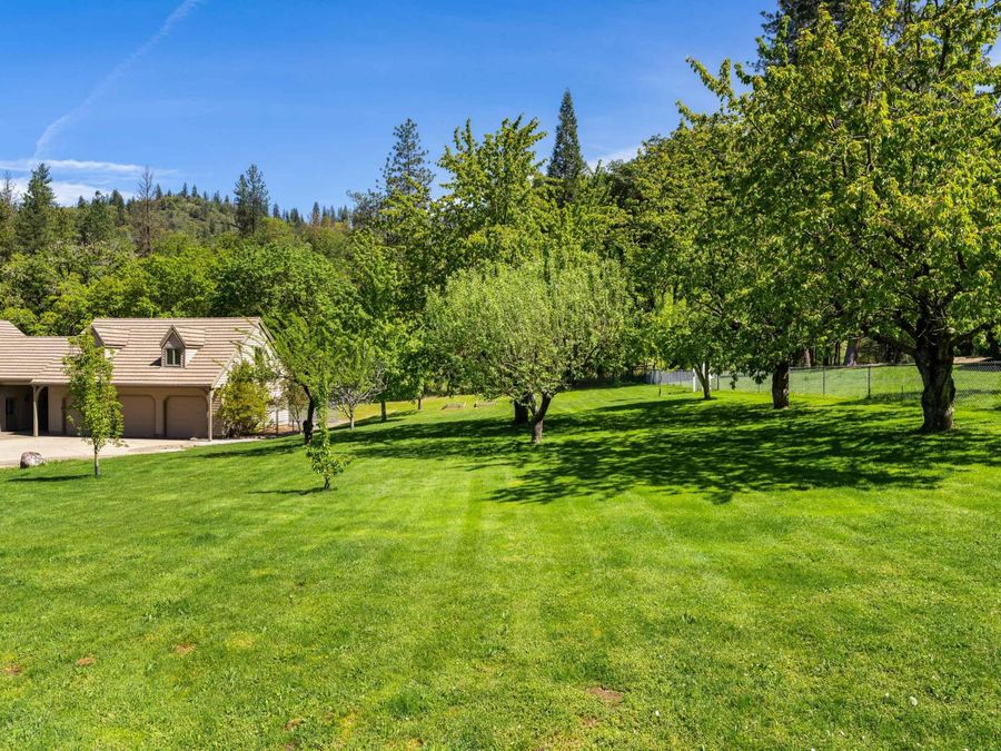 Property Image 81