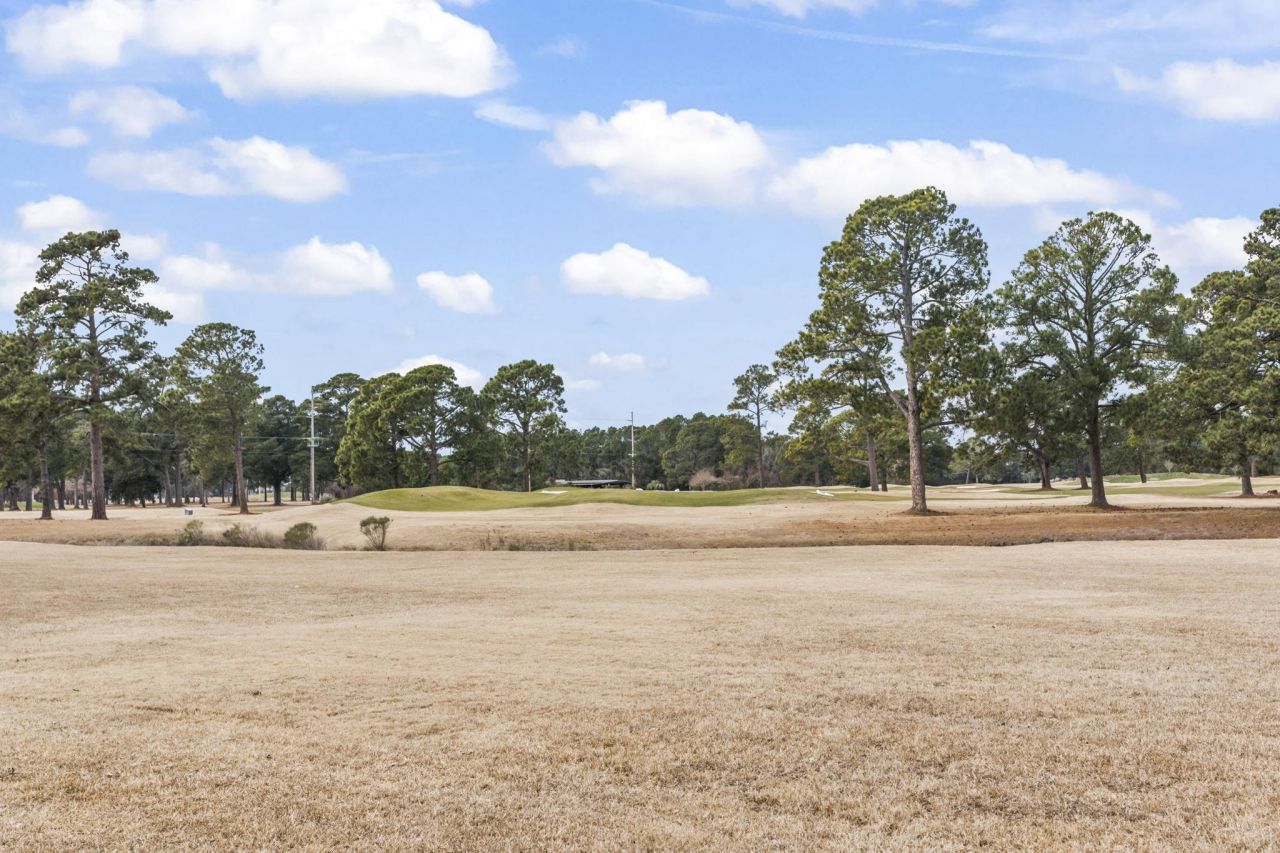 4823 Orchid Way Photo 28