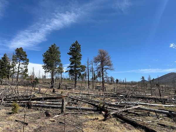 Lot 1039 Forbes Pk, Fort Garland, CO 81133
