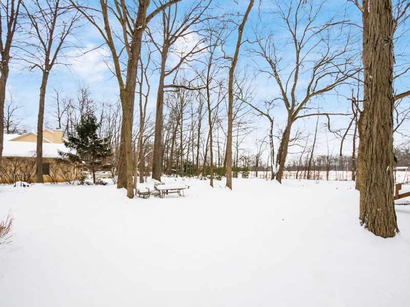 6680 Hawksnest Court, Westerville, OH 43082 Photo 14