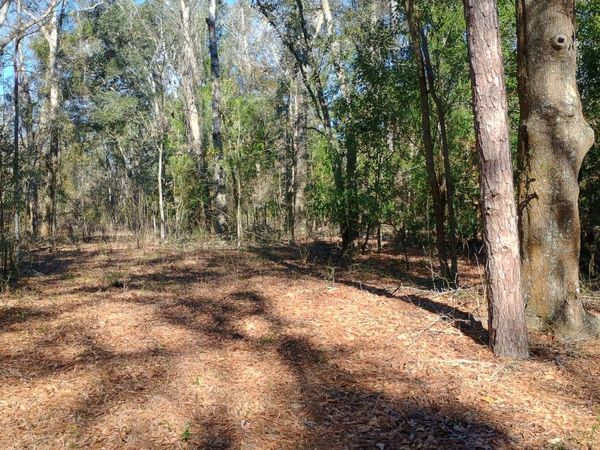 TBD 160TH TER., McAlpin, FL 32062