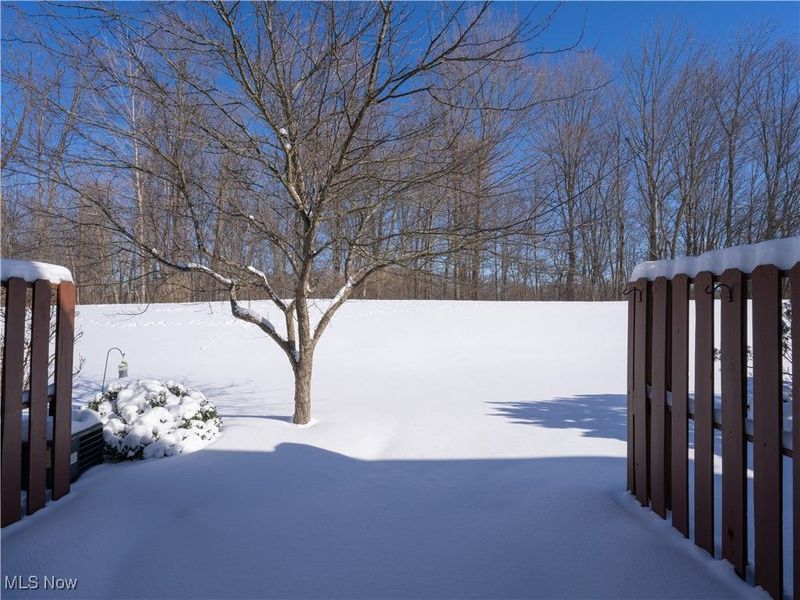 9321 Hickory Ridge Drive, Streetsboro, OH 44241 Photo 25