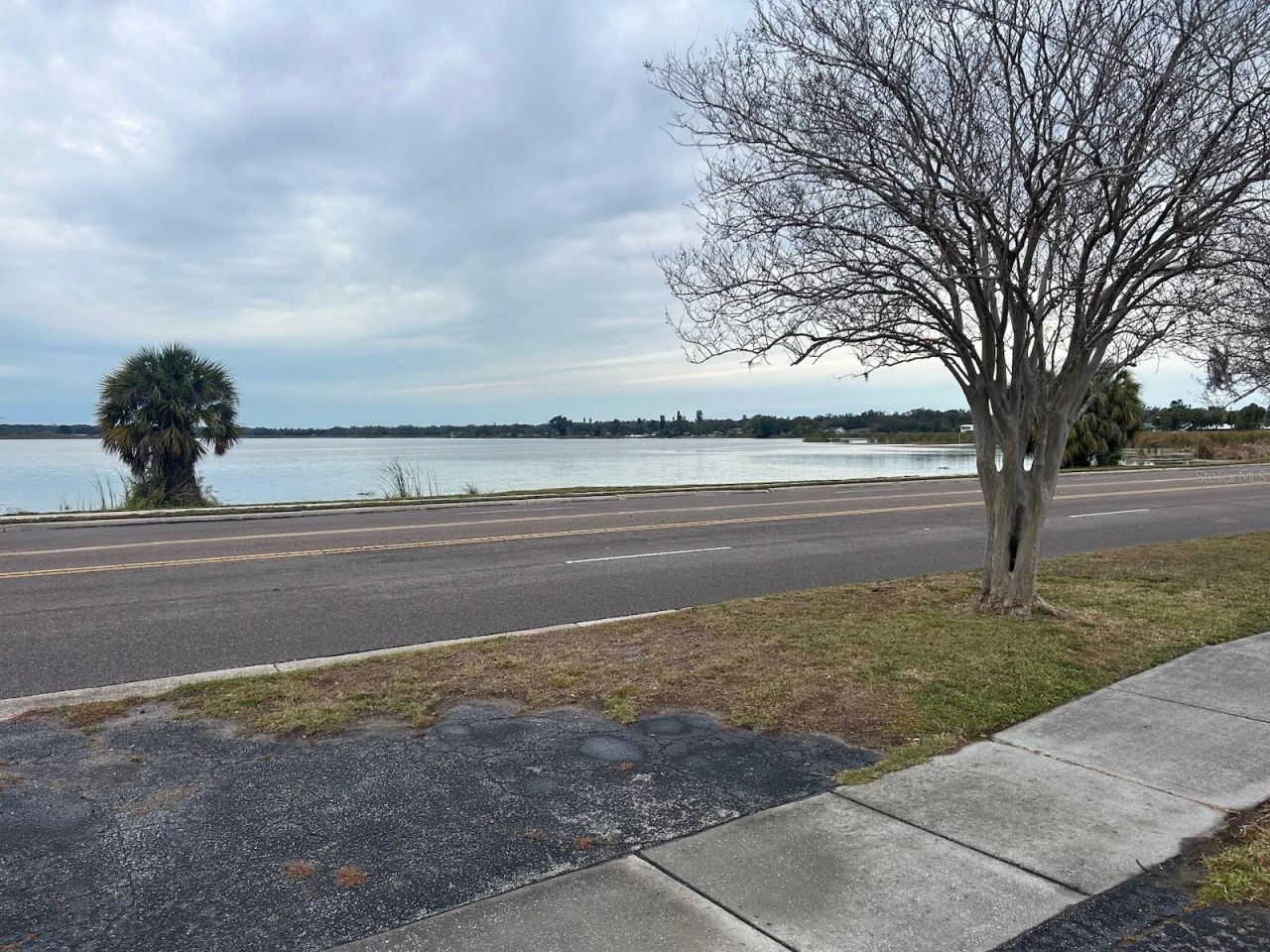 800 32nd Avenue S, Unit 727, Saint Petersburg, FL 33705 Photo