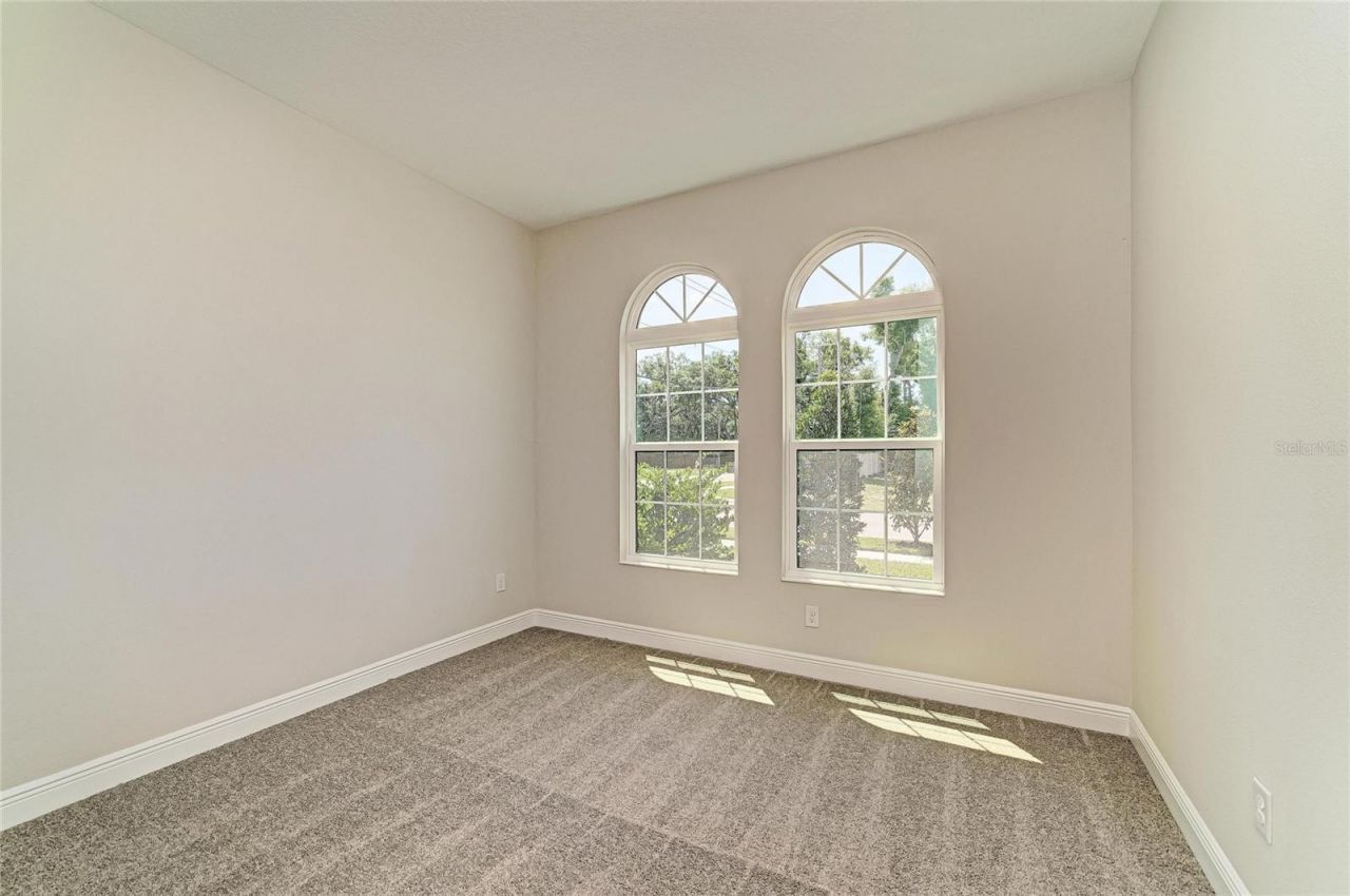 4636 Cedar Fog Ct Drive, Valrico, FL 33596 Photo