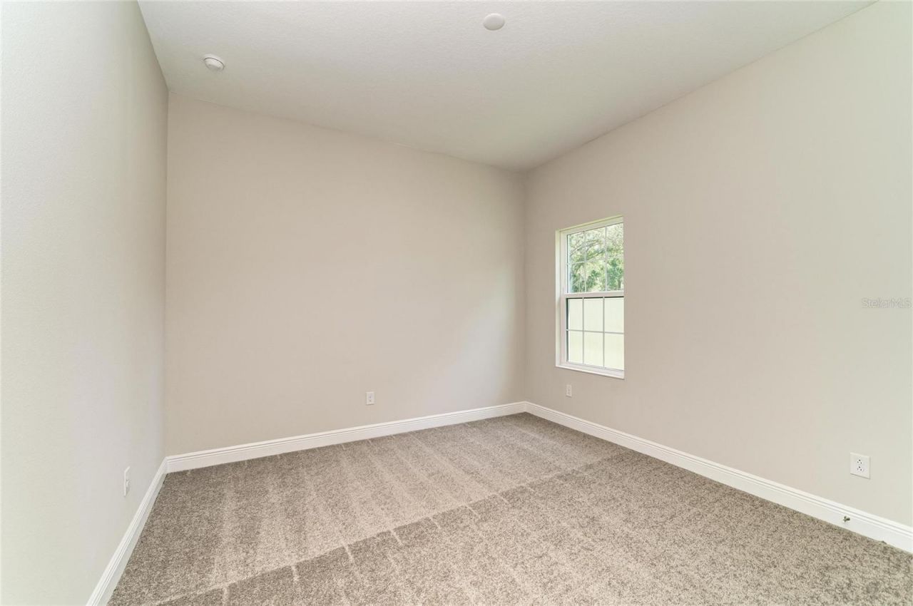 4636 Cedar Fog Ct Drive, Valrico, FL 33596 Photo