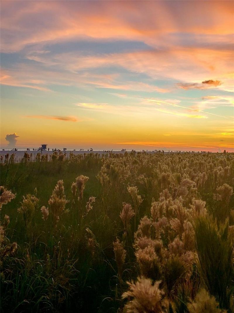 8750 Midnight Pass Road, Unit 302, Sarasota, FL 34242 Photo