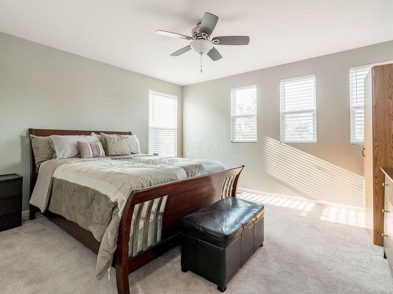 123 Schellinger Street, Delaware, OH 43015 Photo 22