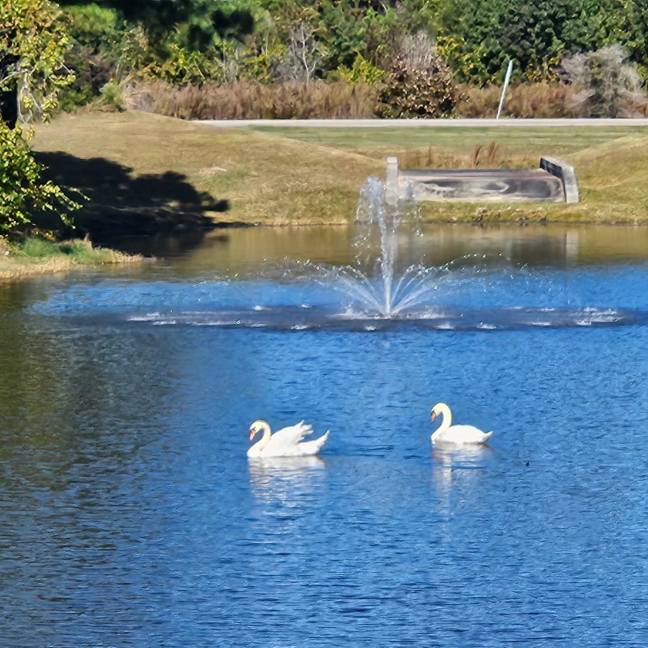 1303 Ashboro Ct. Photo 41