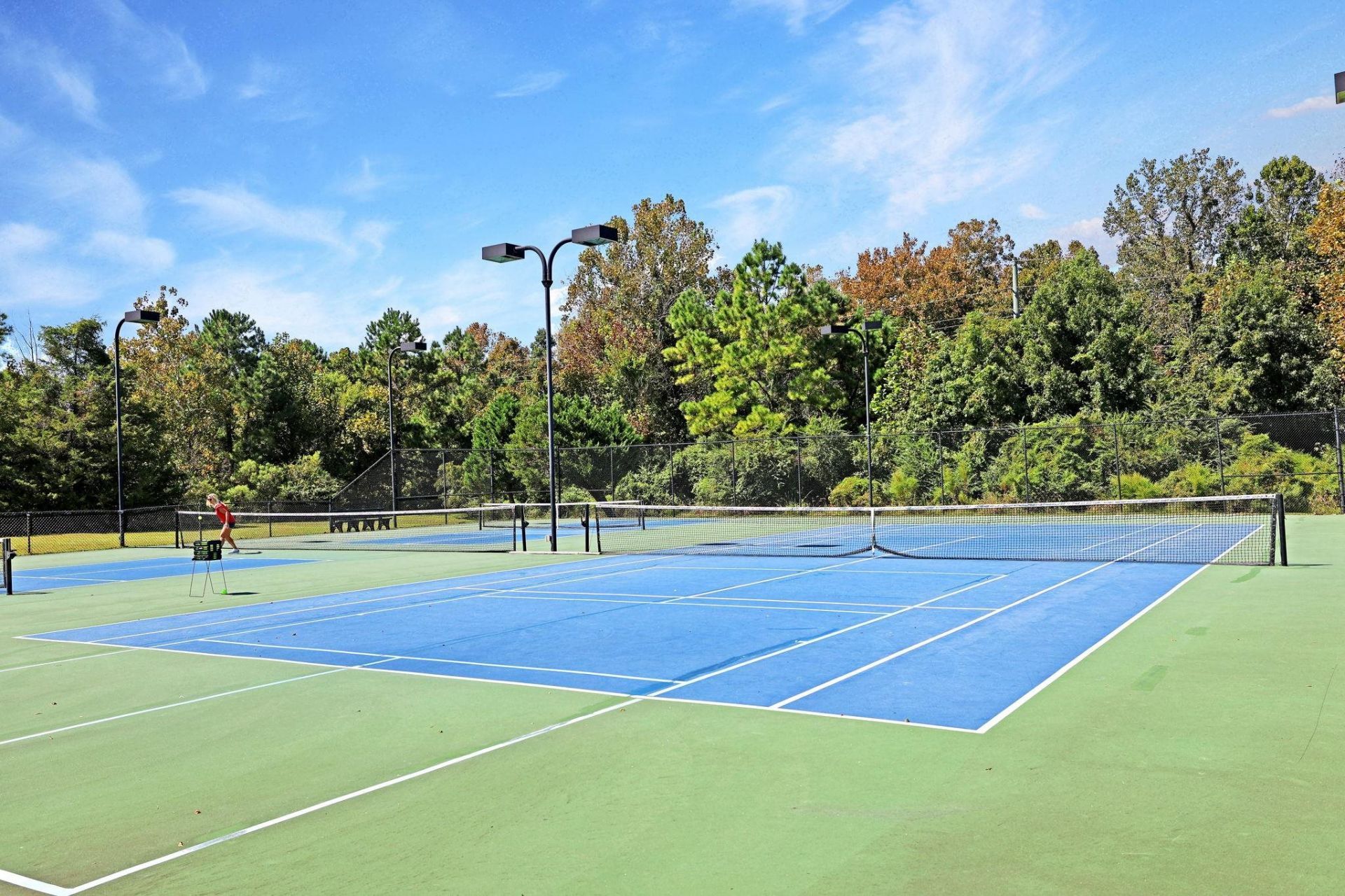 1303 Ashboro Ct. Photo 45