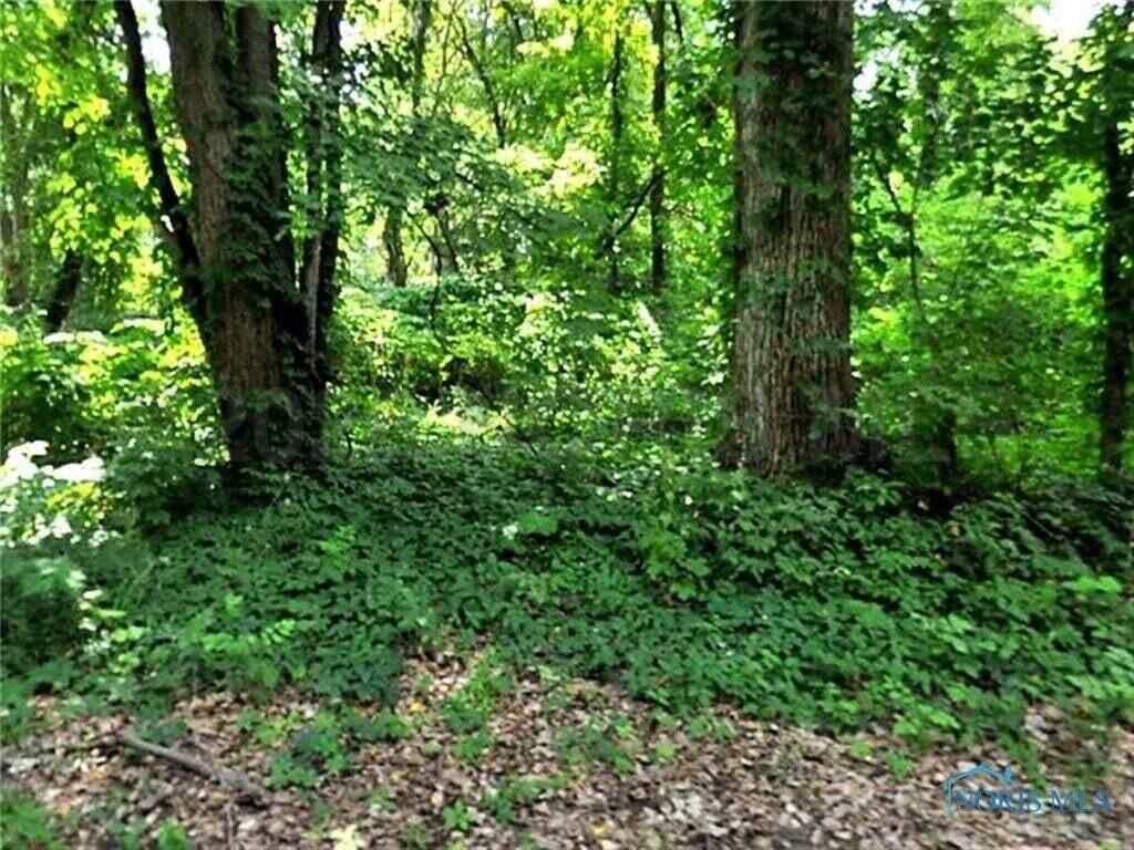 6043 Roan Road, Sylvania, OH 43560 Main Photo