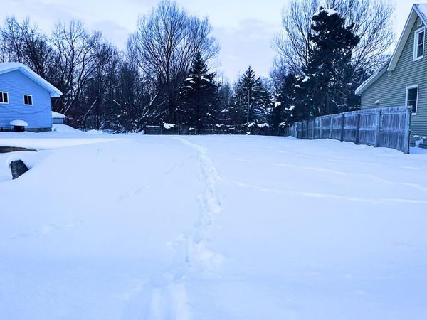 TBD Hannah Street, Boyne City, MI 49712