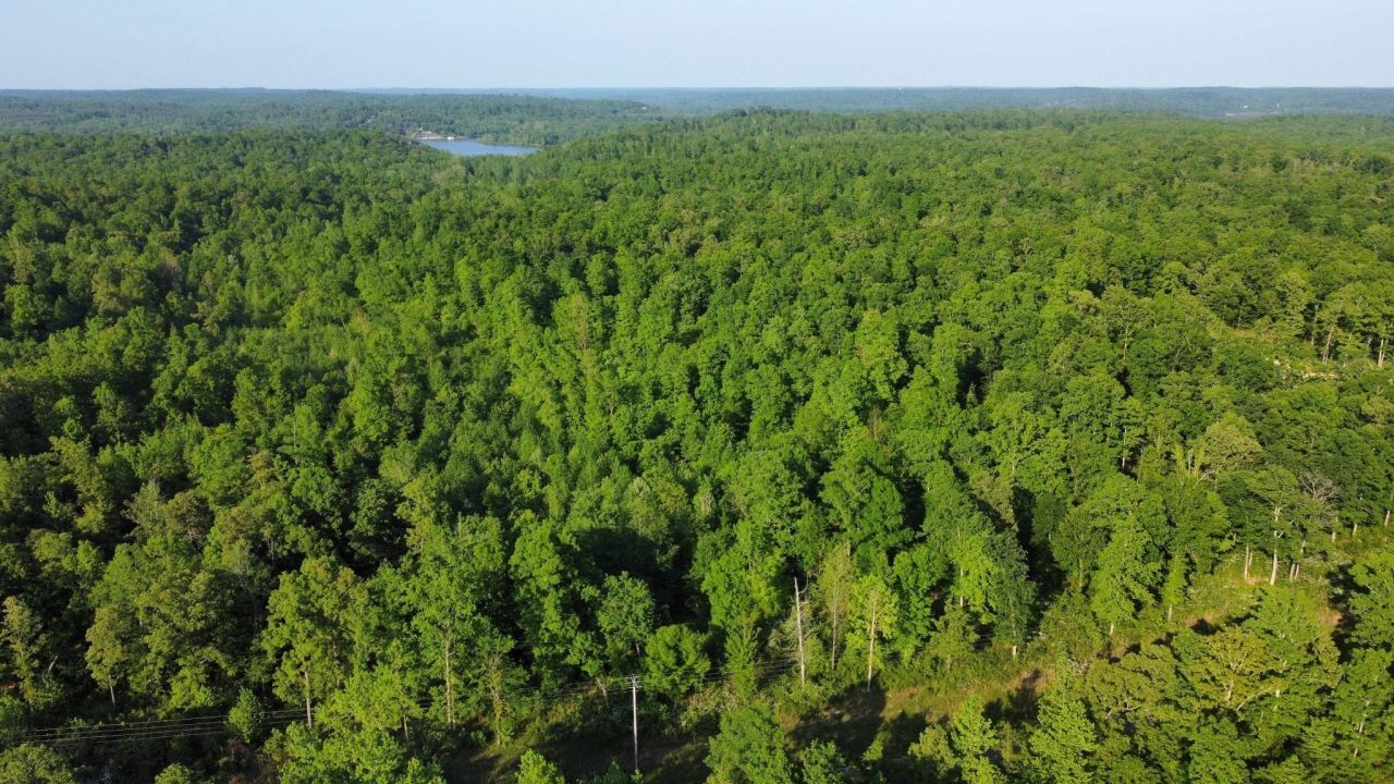 0 Brodies Landing Rd, Parsons, TN 38363 Main Photo