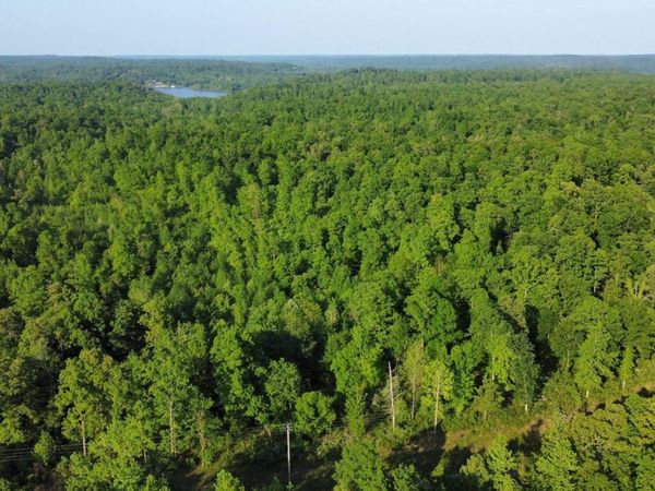 0 Brodies Landing Rd, Parsons, TN 38363