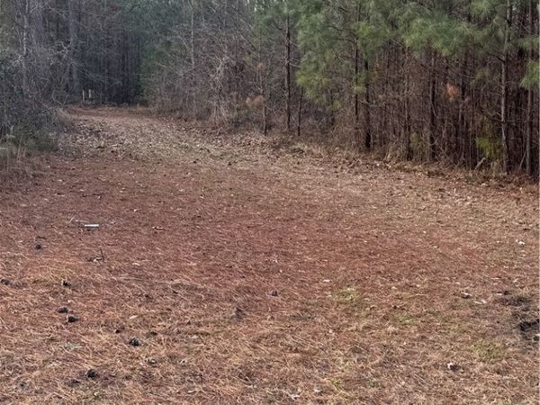 0 N Courthouse Road, Waverly, VA 23890