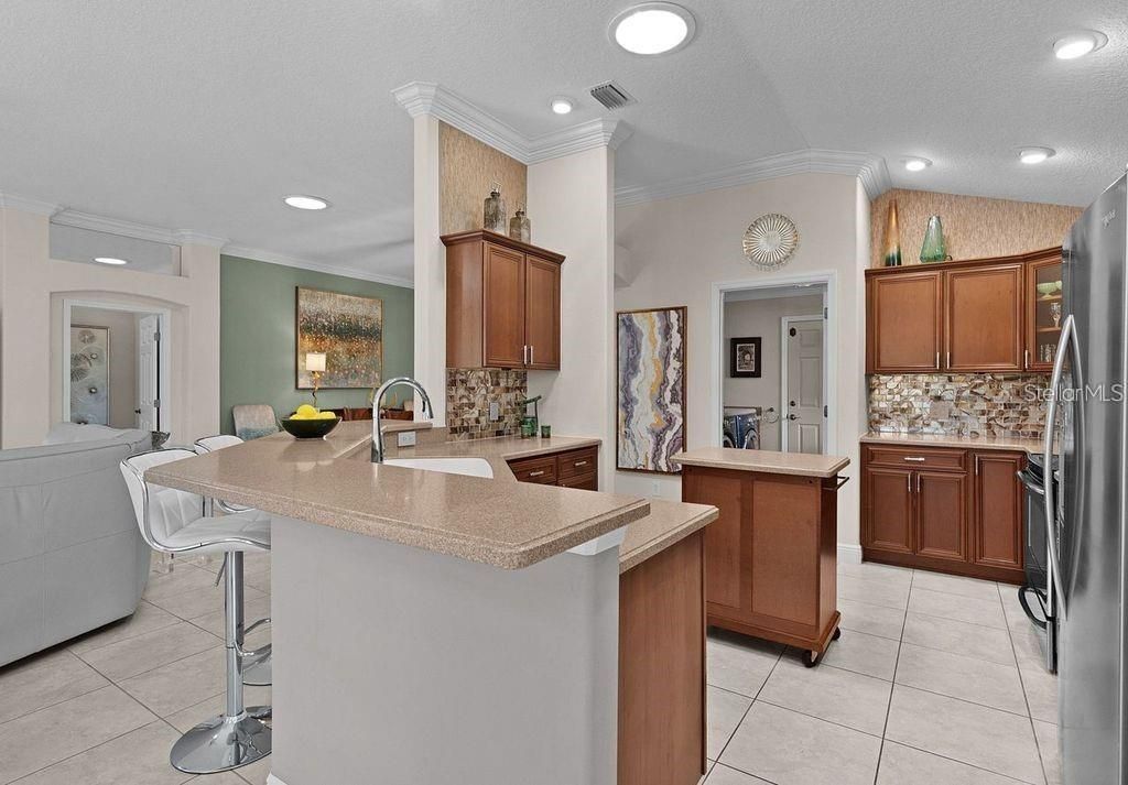 749 Aberdeen Run, The Villages, FL 32162 Photo