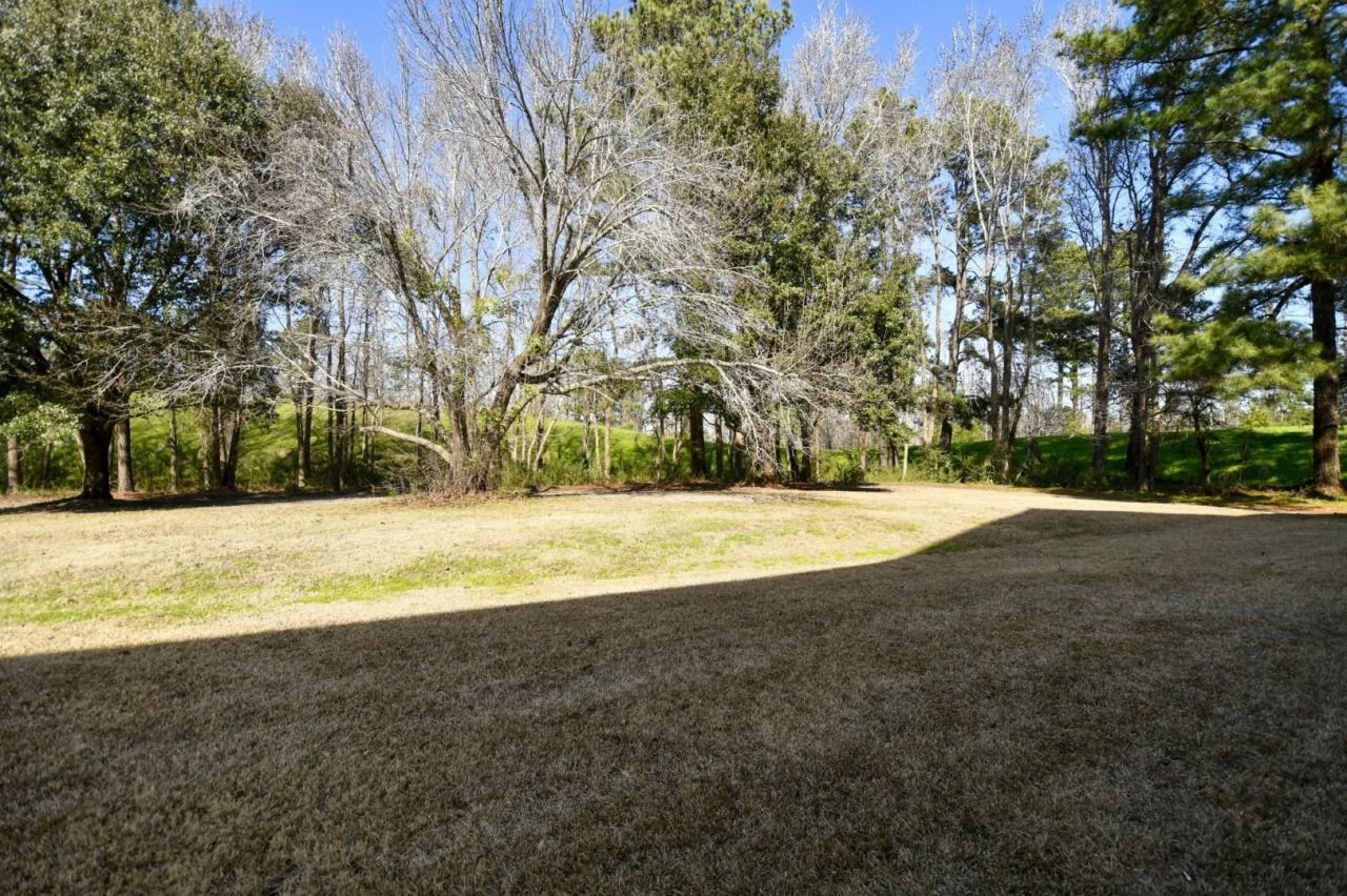 1278 River Oaks Dr. Photo 29