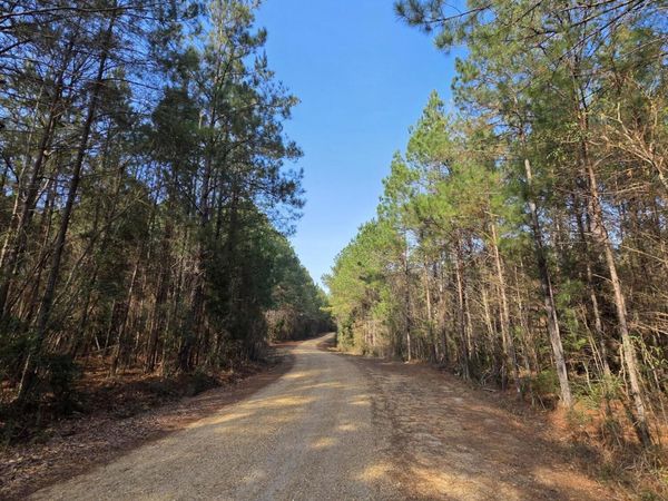 0 Wildwood Trail, Meadville, MS 39653