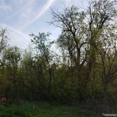 0000 S Lapeer Road, Orion Township, MI 48362 Main Photo