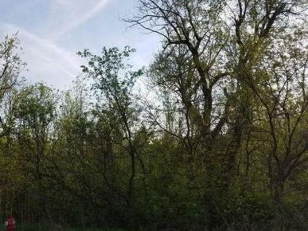 0000 S Lapeer Road, Orion Twp, MI 48362