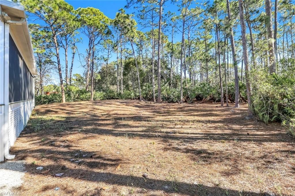 24099 Rodas Dr, Bonita Springs, FL 34135 Photo