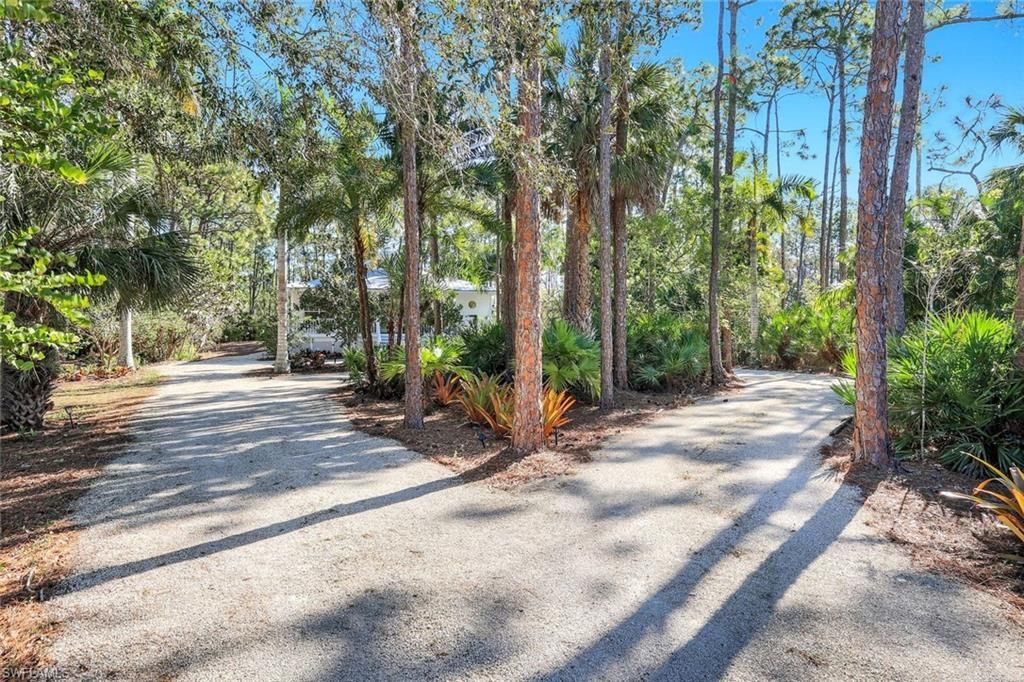 24099 Rodas Dr, Bonita Springs, FL 34135 Photo