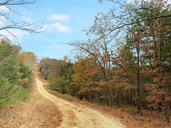 0 W Park Avenue, Lead Hill, AR 72644