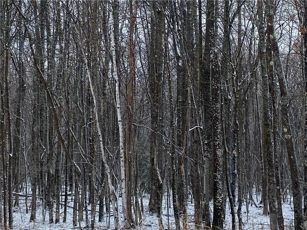 Near Seven Mile Road, Herbster, WI 54844