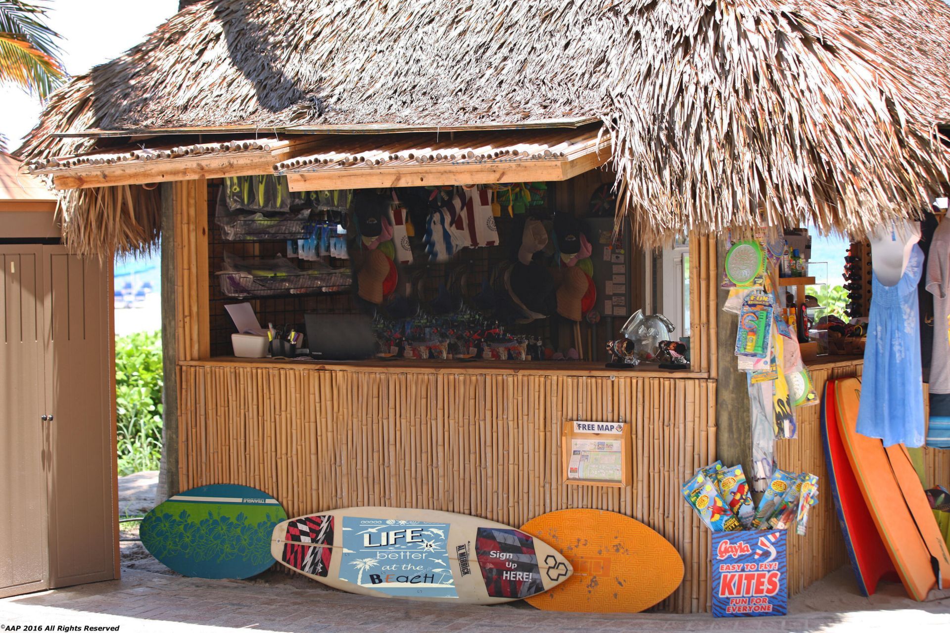 3800 N Ocean Drive, Unit 1450, Singer Island, FL 33404 Photo