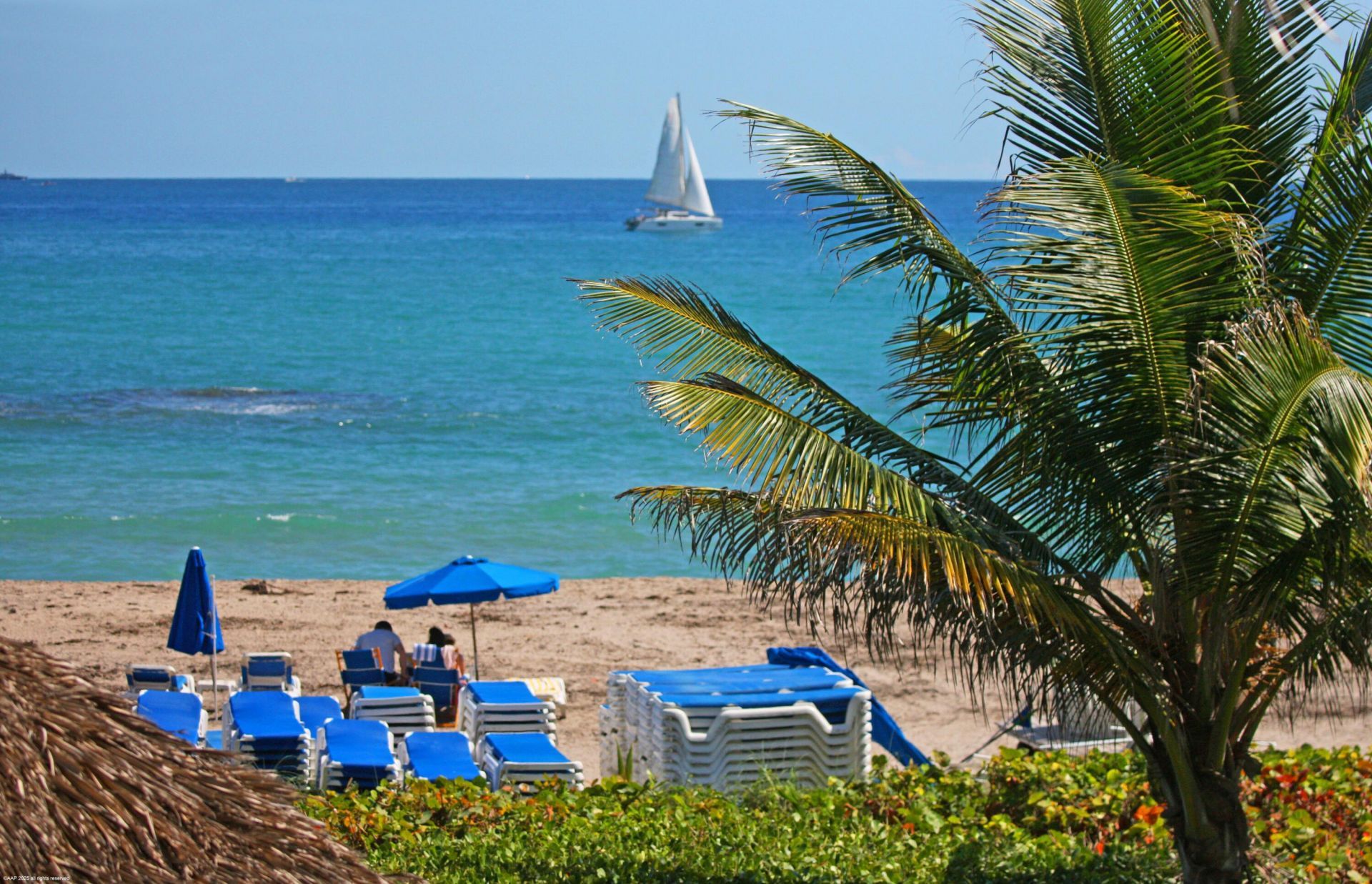 3800 N Ocean Drive, Unit 1450, Singer Island, FL 33404 Photo