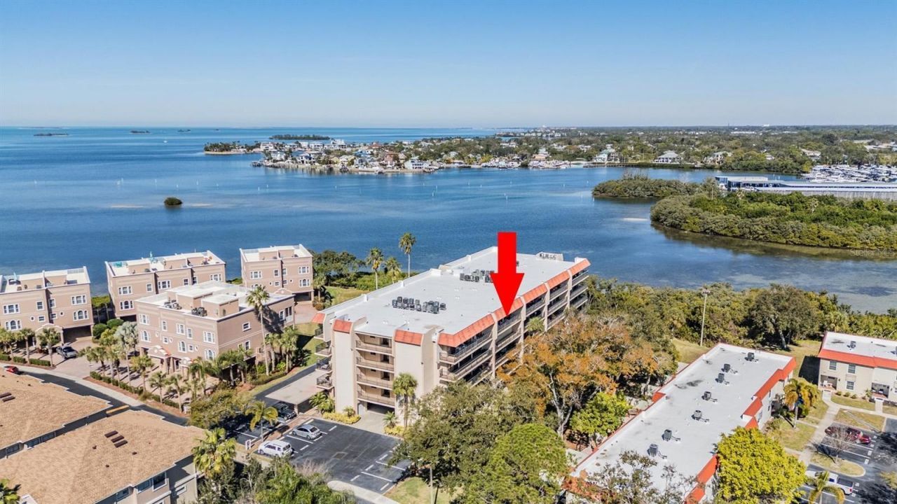 2700 Bayshore Boulevard, Unit 9402, Dunedin, FL 34698 Main Photo