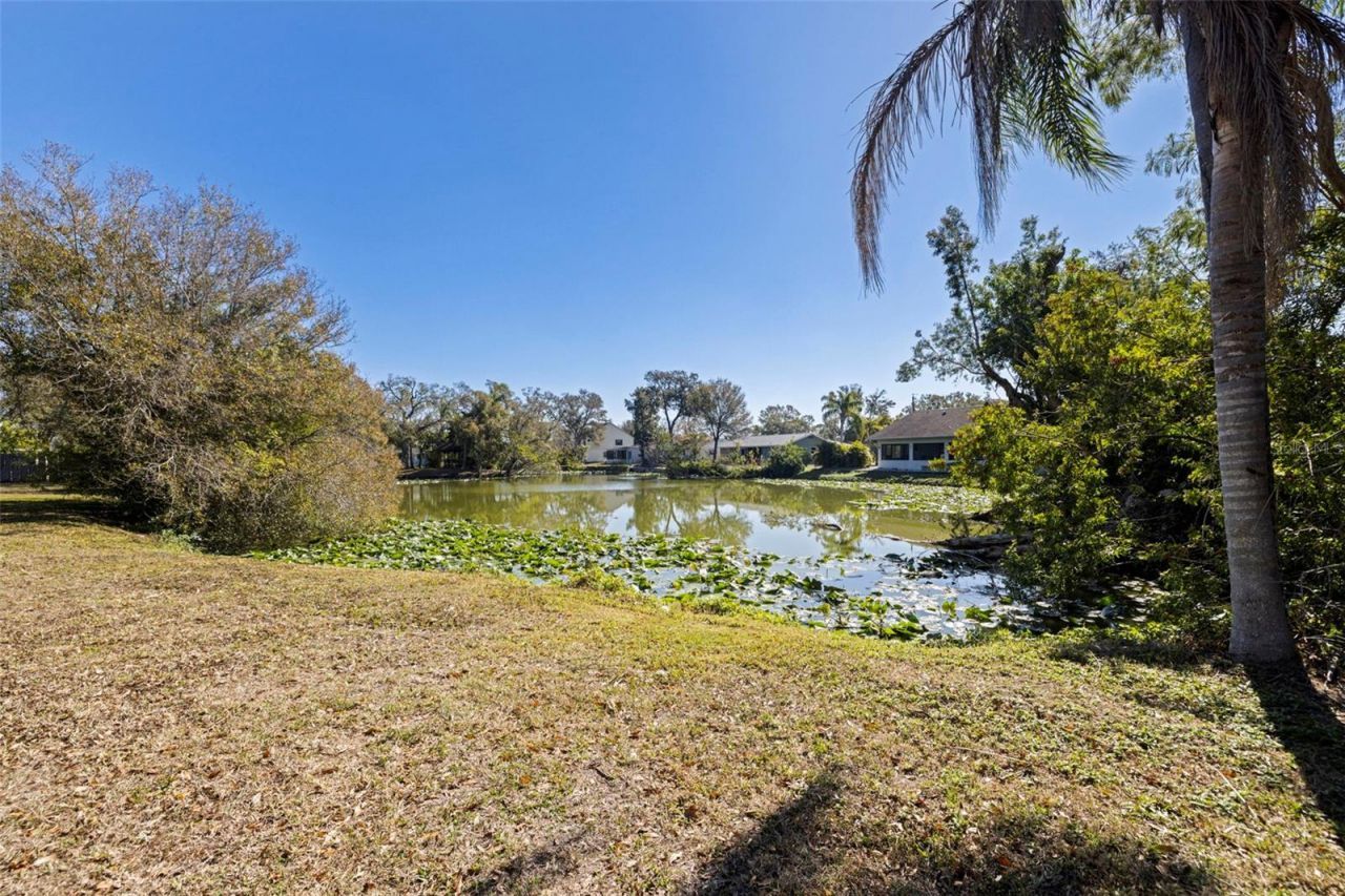 6121 58th Street N, Saint Petersburg, FL 33709 Photo