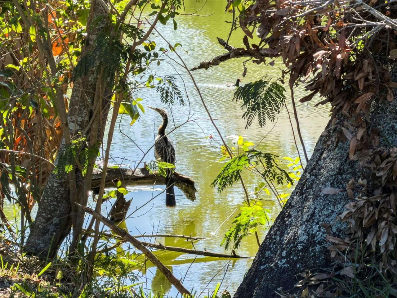 6121 58th Street N, Saint Petersburg, FL 33709 Photo