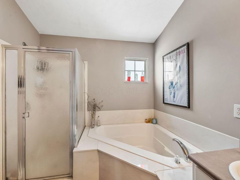 161 Chestnut Estates Drive, Commercial Point, OH 43116 Photo 22