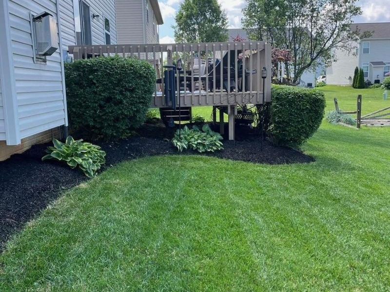 161 Chestnut Estates Drive, Commercial Point, OH 43116 Photo 37