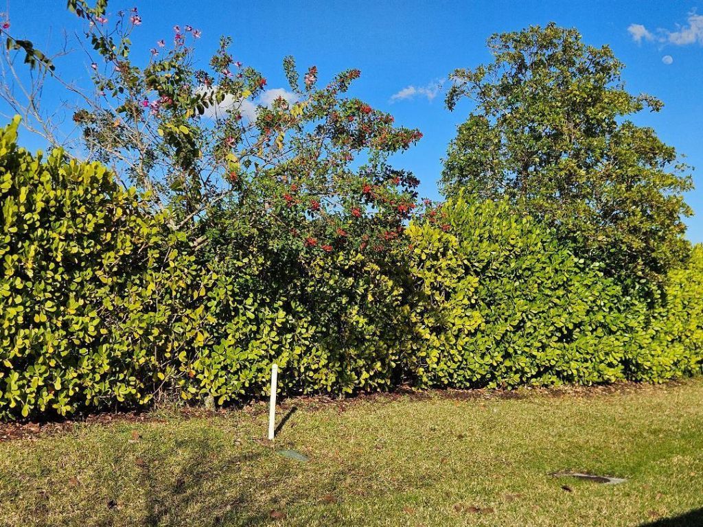 11087 SW Carriage Hill Lane, Port Saint Lucie, FL 34987 Photo