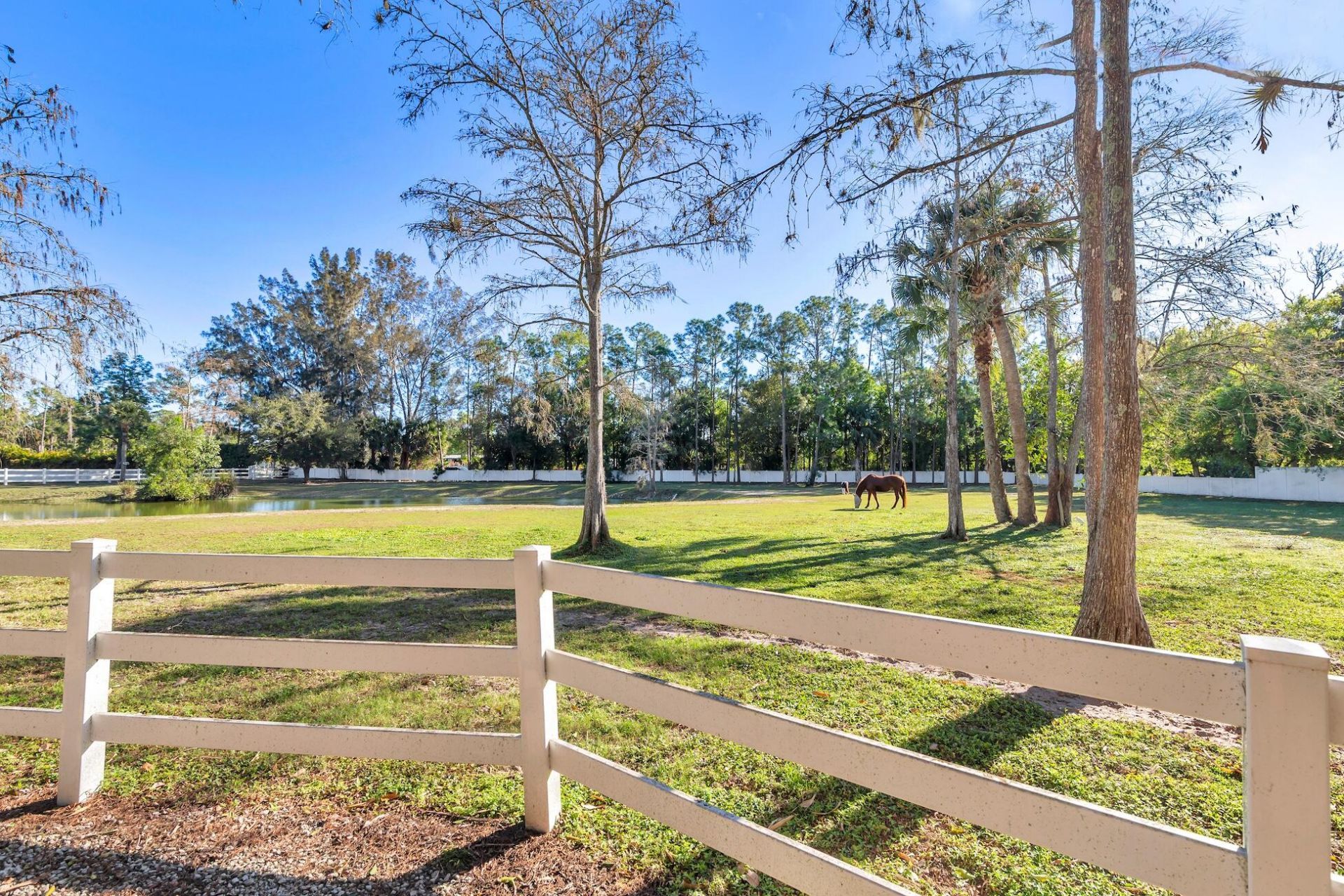 17593 Rocky Pines Road, Jupiter, FL 33478 Photo