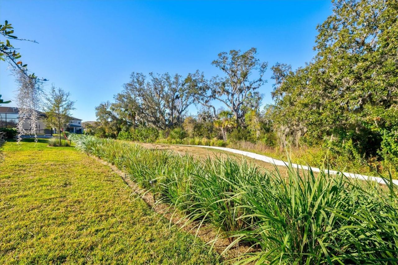 11216 Gallatin Trail, Parrish, FL 34219 Photo