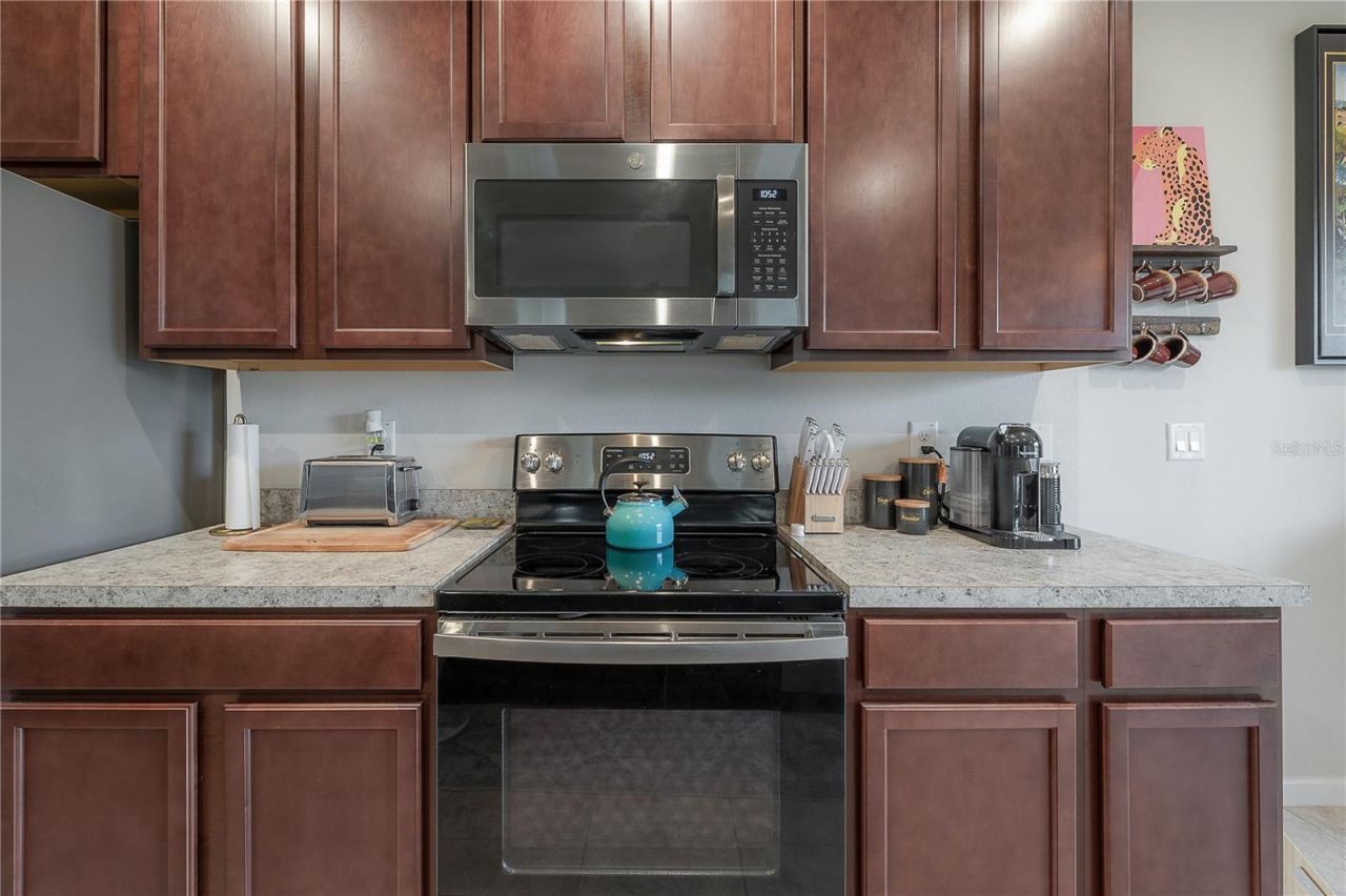 10792 Hawks Landing Drive, Land O Lakes, FL 34638 Photo