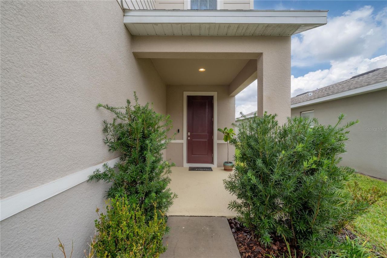 10792 Hawks Landing Drive, Land O Lakes, FL 34638 Photo