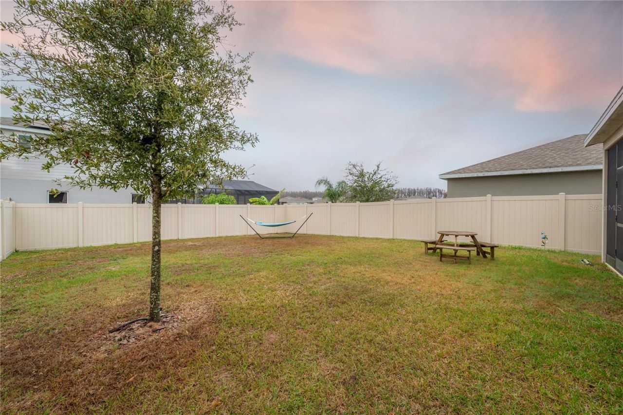 10792 Hawks Landing Drive, Land O Lakes, FL 34638 Photo