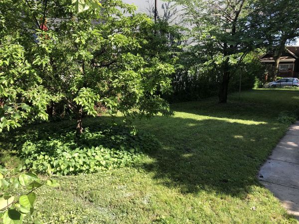 2546 W Winona Street, Chicago, IL 60625