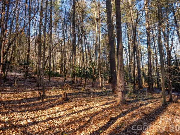 L11 Deerlake Road , Brevard, NC 28712