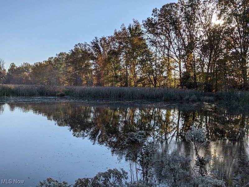 33162 Eagles Glen Court, North Ridgeville, OH 44039 Photo 34