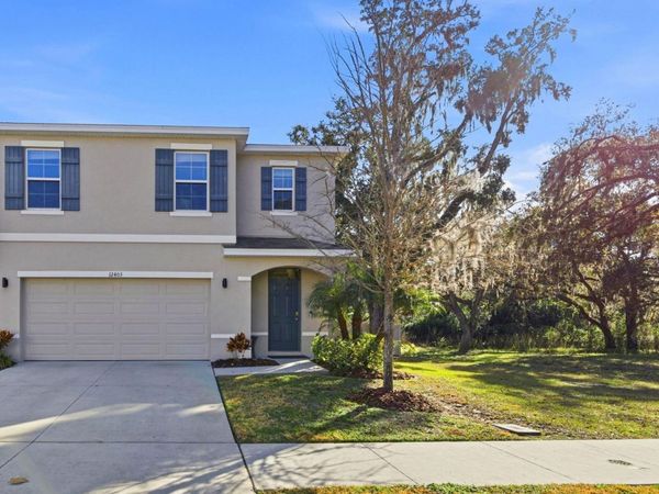 12403 PAGODA PLACE, TAMPA, FL 33637