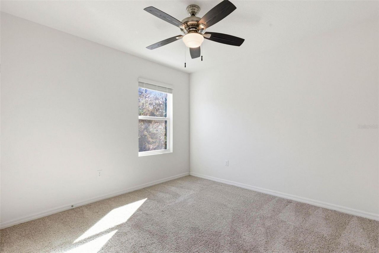 12403 Pagoda Place, Tampa, FL 33637 Photo