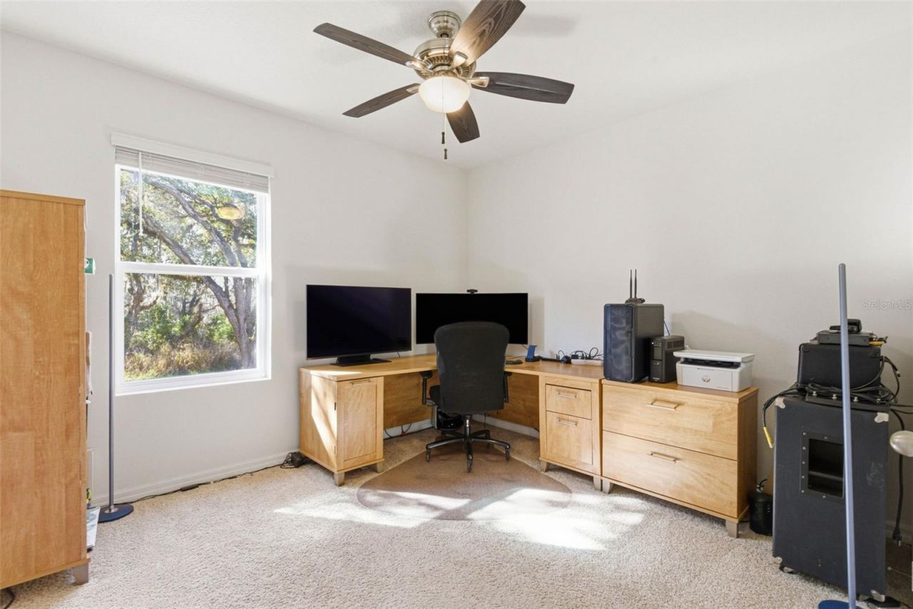 12403 Pagoda Place, Tampa, FL 33637 Photo