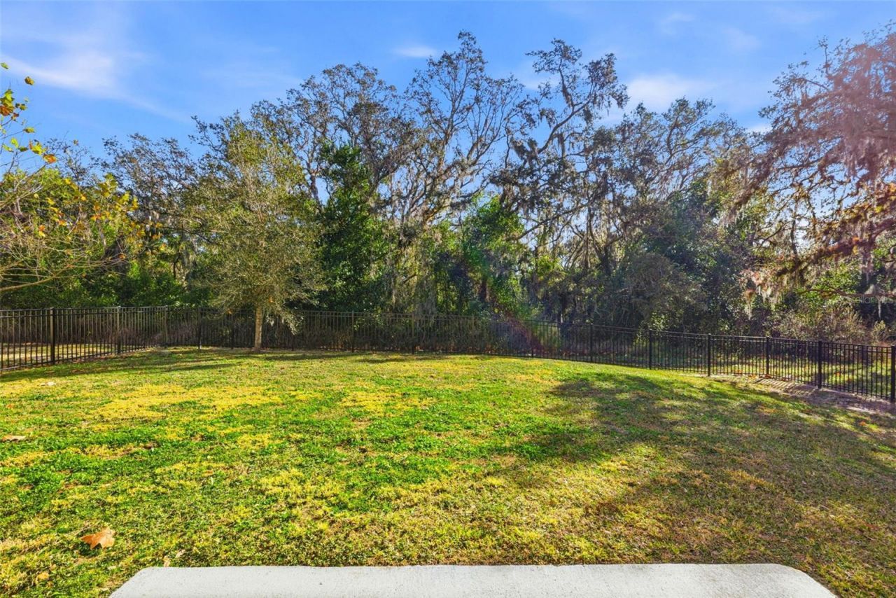 12403 Pagoda Place, Tampa, FL 33637 Photo